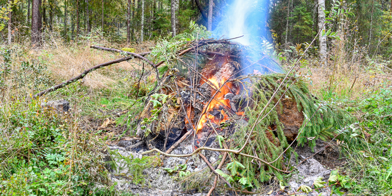 Eldning av brasa med trädgårdsavfall på hösten
