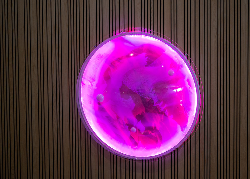 Jämjö kunskapscentrum